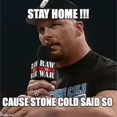 Stone Cold What Meme: A Deep Dive into the Internet's Favorite Confusion