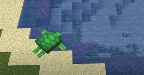 What do you feed turtles in Minecraft, and how does it relate to the existential dread of a blocky universe?